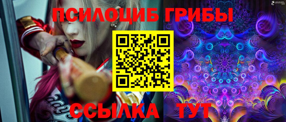 Галлюциногенные грибы прущие грибы Златоуст