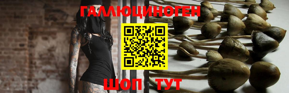 Псилоцибиновые грибы мицелий  Вход с VPN  Галлюциногенные грибы прущие грибы  Златоуст 